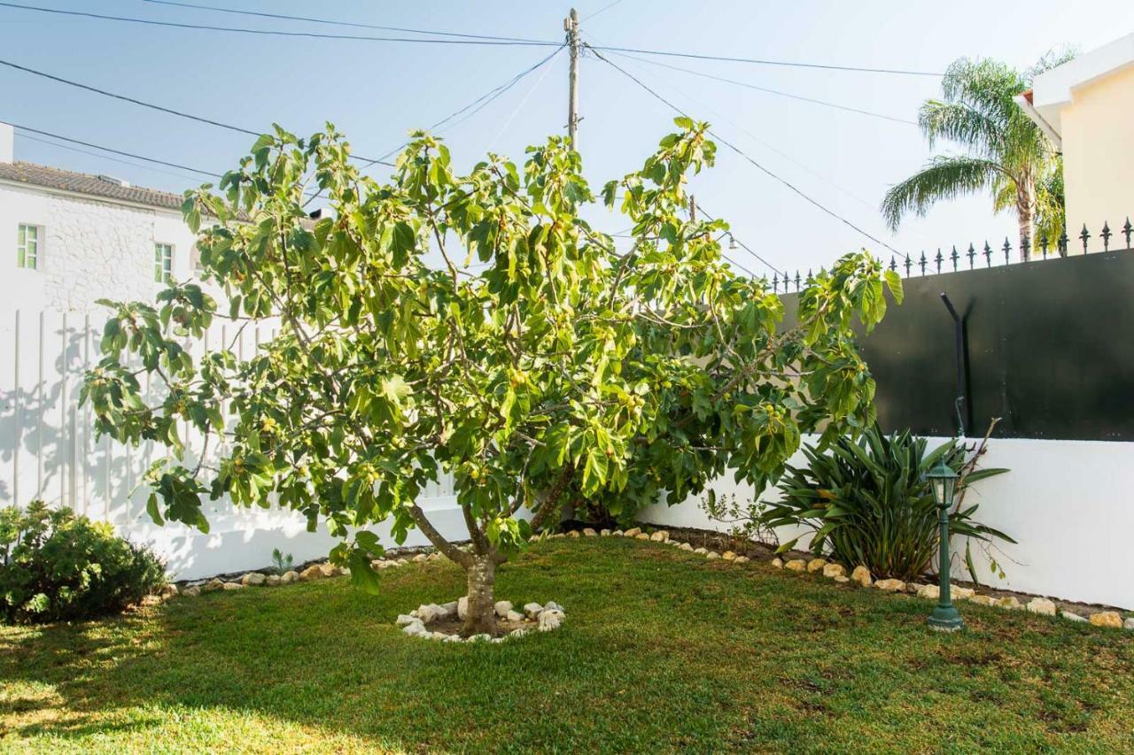 Casa Da Quintinha - Villa With A Pool Sesimbra Eksteriør billede